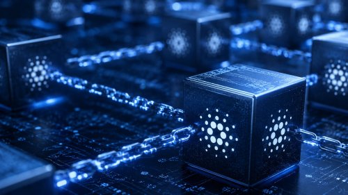 Rekord aktywności Cardano