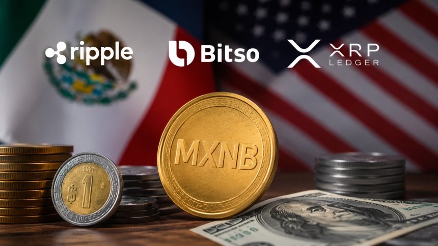 Ripple wprowadzi stablecoina MXNB do sieci XRPL