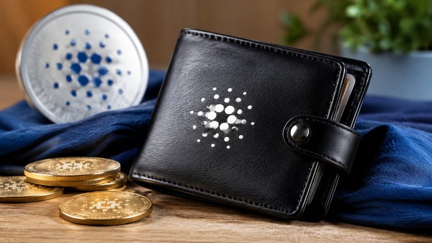 Cardano testuje  odzyskiwanie portfeli